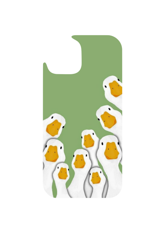 Ducks
